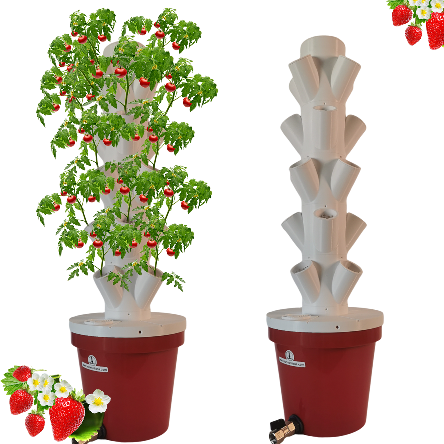 Coltivazione Idroponica Orto Verticale Torre Idroponica Aeroponica DWC - NTF per ORTAGGI e FIORI. Compatto Espandibile. Kit completo. Torre Eoliana serie PANAREA